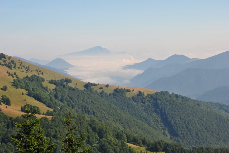 pepajs.cz